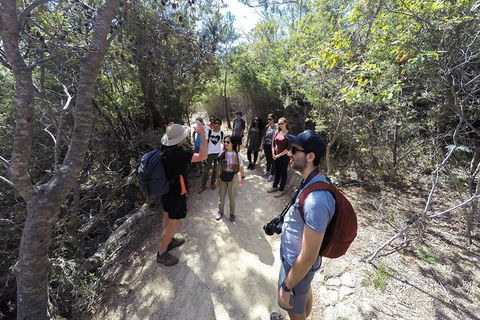 Wineglass Bay And Freycinet National Park Active Day Trip From Hobart - Darwin Holiday 19