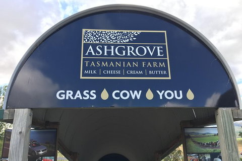 Cradle Mountain Active Day Trip From Launceston - Darwin Holiday 5