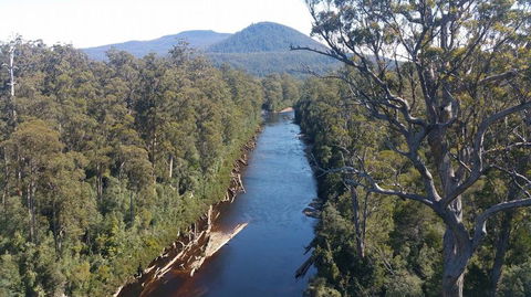 Small-group DayTour From Hobart: Hastings Caves, Huon Valley And Tahune AirWalk - Darwin Holiday 3