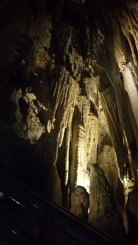 Small-group DayTour From Hobart: Hastings Caves, Huon Valley And Tahune AirWalk - Darwin Holiday 5