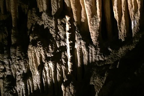 Small-group DayTour From Hobart: Hastings Caves, Huon Valley And Tahune AirWalk - Darwin Holiday 1