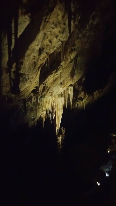 Small-group DayTour From Hobart: Hastings Caves, Huon Valley And Tahune AirWalk - Darwin Holiday 7