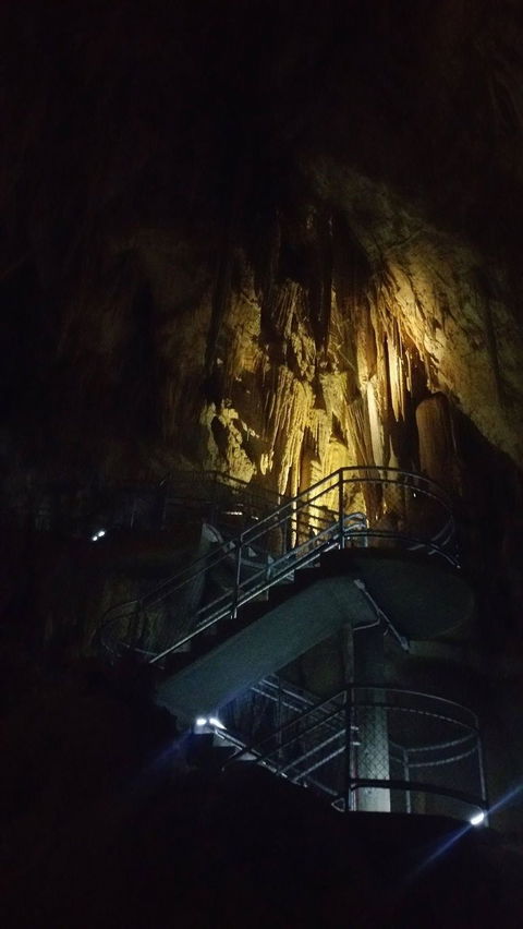 Small-group DayTour From Hobart: Hastings Caves, Huon Valley And Tahune AirWalk - Darwin Holiday 4