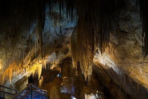 Small-group DayTour From Hobart: Hastings Caves, Huon Valley And Tahune AirWalk - Darwin Holiday 19