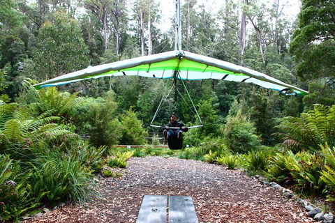 Small-group DayTour From Hobart: Hastings Caves, Huon Valley And Tahune AirWalk - Darwin Holiday 10