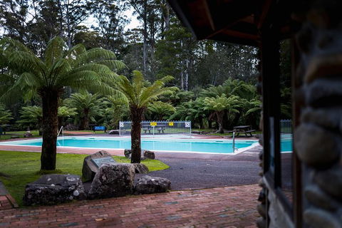 Small-group DayTour From Hobart: Hastings Caves, Huon Valley And Tahune AirWalk - Darwin Holiday 12