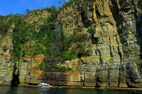 3-Hour Tasman Peninsula Wilderness Cruise From Port Arthur - Darwin Holiday 7