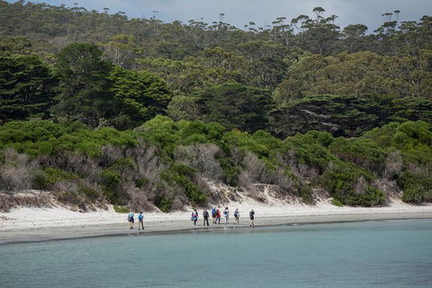 Maria Island Active Day Trip From Hobart - Darwin Holiday 11