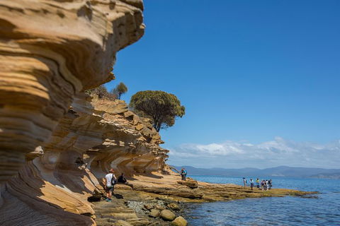 Maria Island Active Day Trip From Hobart - Darwin Holiday 5