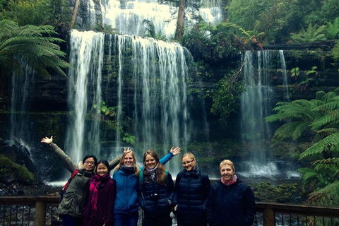 Mt Field National Park Active Day-Trip Including Bonorong And Mt Wellington - Darwin Holiday 1