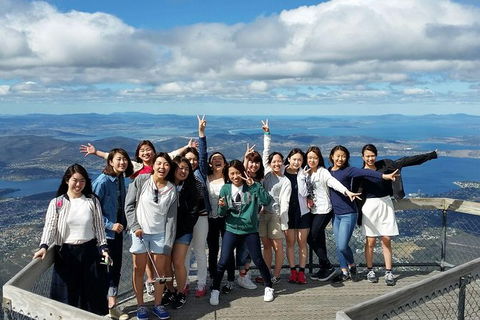 Mt Field National Park Active Day-Trip Including Bonorong And Mt Wellington - Darwin Holiday 3