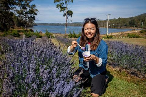 Port Arthur And Lavender Farm Active Day Tour - Darwin Holiday 0