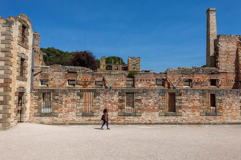 Port Arthur And Lavender Farm Active Day Tour - Darwin Holiday 1