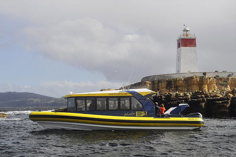 Hobart Sightseeing Cruise Including Iron Pot Lighthouse - Darwin Holiday 7