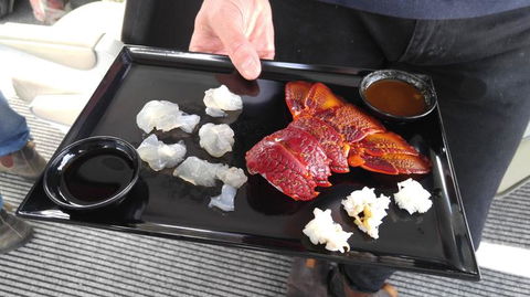 Fresh From The Ocean: Tasmanian Seafood Gourmet Full-Day Cruise Including Lunch - Darwin Holiday 5