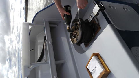 Fresh From The Ocean: Tasmanian Seafood Gourmet Full-Day Cruise Including Lunch - Darwin Holiday 9