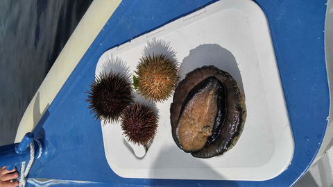 Fresh From The Ocean: Tasmanian Seafood Gourmet Full-Day Cruise Including Lunch - Darwin Holiday 6