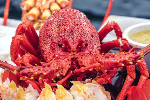 Fresh From The Ocean: Tasmanian Seafood Gourmet Full-Day Cruise Including Lunch - Darwin Holiday 15
