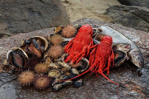 Fresh From The Ocean: Tasmanian Seafood Gourmet Full-Day Cruise Including Lunch - Darwin Holiday 16