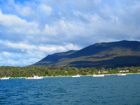 Full-Day Tasman Peninsula Tour From Hobart - Darwin Holiday 7