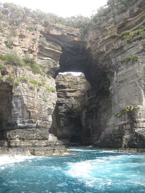 Full-Day Tasman Peninsula Tour From Hobart - Darwin Holiday 5