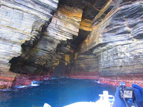 Full-Day Tasman Peninsula Tour From Hobart - Darwin Holiday 8