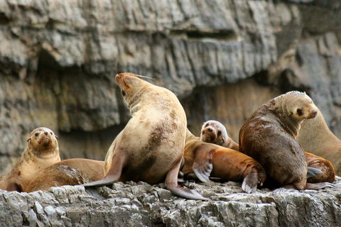 Full-Day Tasman Peninsula Tour From Hobart - Darwin Holiday 22