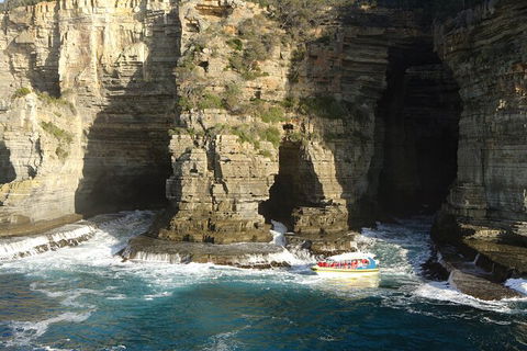 Full-Day Tasman Peninsula Tour From Hobart - Darwin Holiday 18