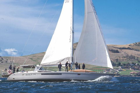 Half-Day Sailing On The Derwent River From Hobart - Darwin Holiday 5