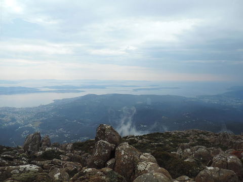 Mt Wellington Tour And MONA Admission - Darwin Holiday 7