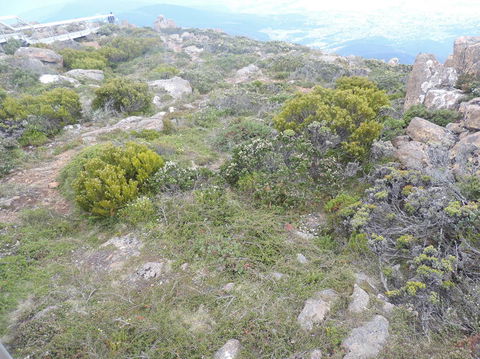 Mt Wellington Tour And MONA Admission - Darwin Holiday 8