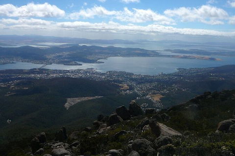 Mt Wellington Tour And MONA Admission - Darwin Holiday 15