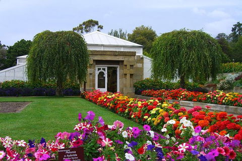 Hobart City Sightseeing Tour Including MONA Admission - Darwin Holiday 9