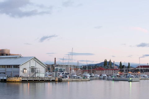 Hobart City Sightseeing Tour Including MONA Admission - Darwin Holiday 6