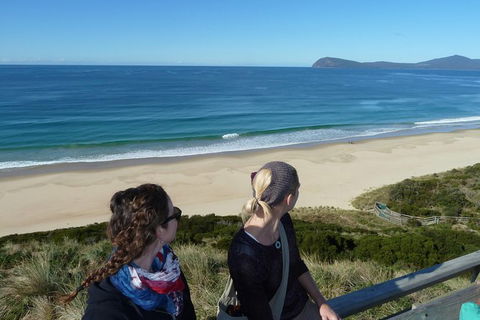 Small-Group Day Trip From Hobart To Bruny Island - Darwin Holiday 9