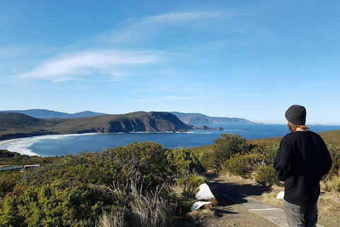 Small-Group Day Trip From Hobart To Bruny Island - Darwin Holiday 6