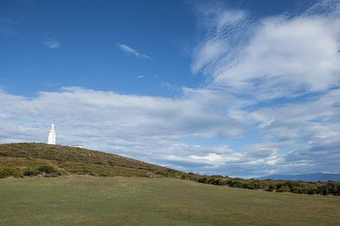 Bruny Island Premium Private Photo-oriented Day Tour From Hobart - Darwin Holiday 1
