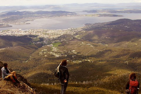 Mt Wellington Half Day Guided Summit Hike - Darwin Holiday 0