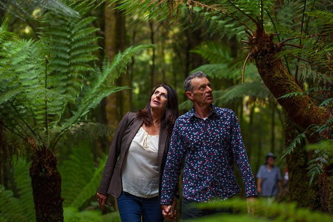 West Coast Wilderness Railway: River And Rainforest From Strahan - Darwin Holiday 1