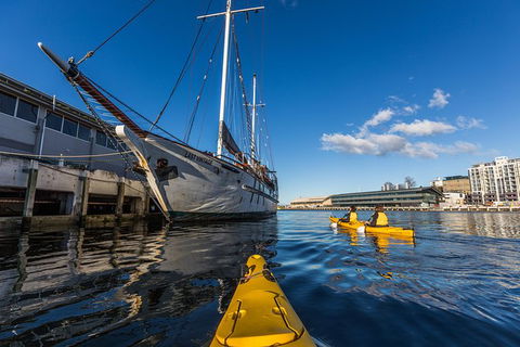 Hobart Kayak Tour - Darwin Holiday 8