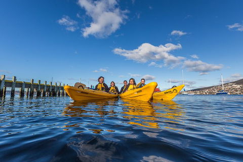 Hobart Kayak Tour - Darwin Holiday 7