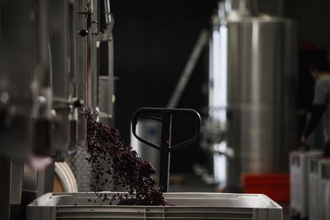 Private 90-minute Moorilla Estate Winery Tour With Tastings And Free Wine Gift - Darwin Holiday 1