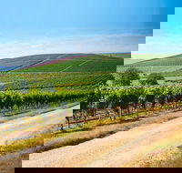 Full Day Tamar Valley Wine Tour - Darwin Holiday