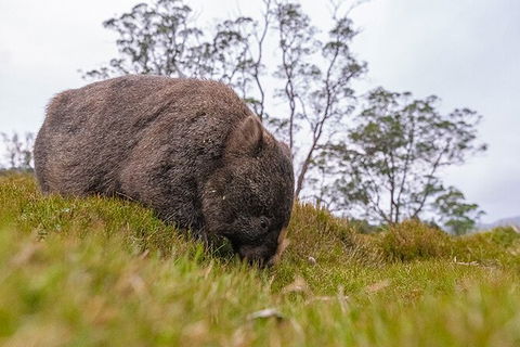 3-Day Cradle Mountain Photography Workshop - Darwin Holiday 7