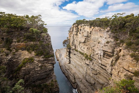 Cruise Ship Special From Port Arthur: Explore Tasman Peninsula With Free WiFi - Darwin Holiday 3