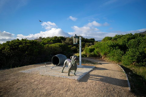 Cruise Ship Special From Port Arthur: Explore Tasman Peninsula With Free WiFi - Darwin Holiday 9