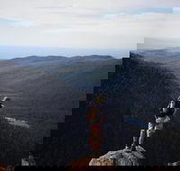 Mount Field National Park - Tarn Shelf  Russell Falls - Guided Hiking Tour - Darwin Holiday