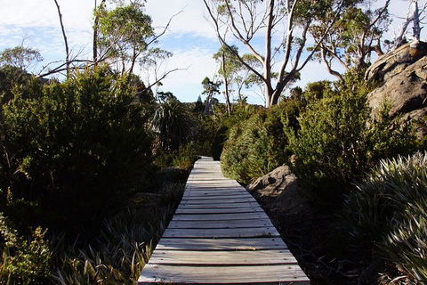 Mount Field National Park - Tarn Shelf & Russell Falls - Guided Hiking Tour - Darwin Holiday 5