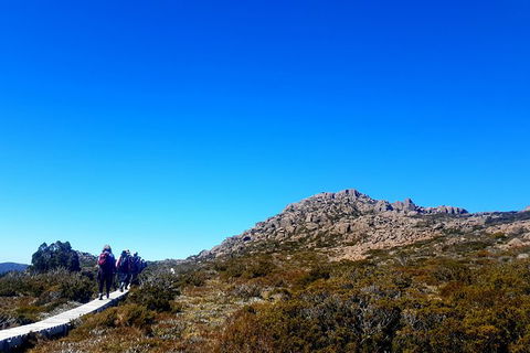 Mount Field National Park - Tarn Shelf & Russell Falls - Guided Hiking Tour - Darwin Holiday 6