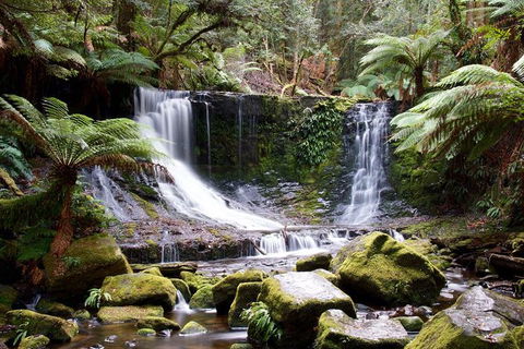 Mount Field National Park - Tarn Shelf & Russell Falls - Guided Hiking Tour - Darwin Holiday 10